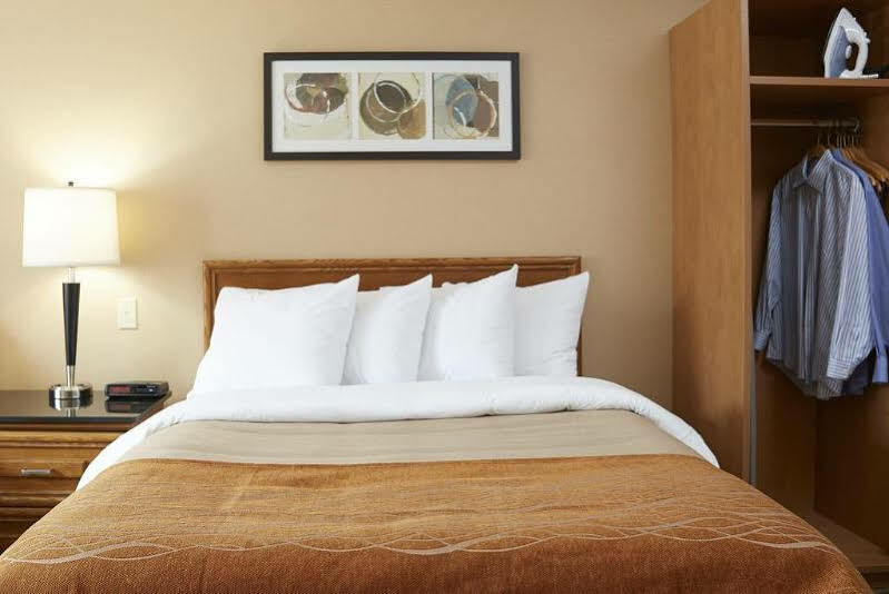 Comfort Inn Pickering Zewnętrze zdjęcie